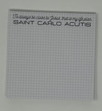Set of 3 Inspirational Catholic Men Sticky Notepads. Catholic Christmas Sticky Note Gift Set. Carlo, Frassati and Pope Leo sticky notes